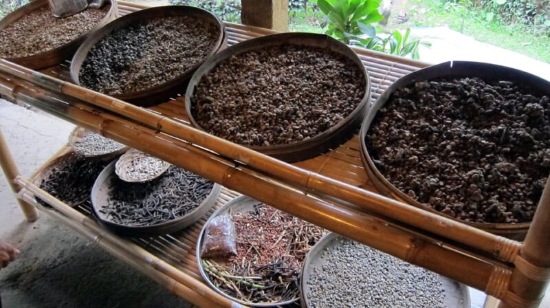 UBUD : Water Temples, Waterfalls, and Rice Terraces Tour - Included in the Tour