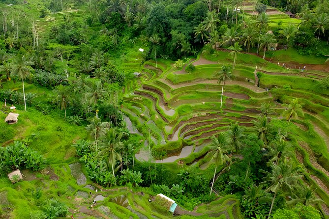 Ubud Waterfall and Uluwatu Sunset Tour - Inclusions