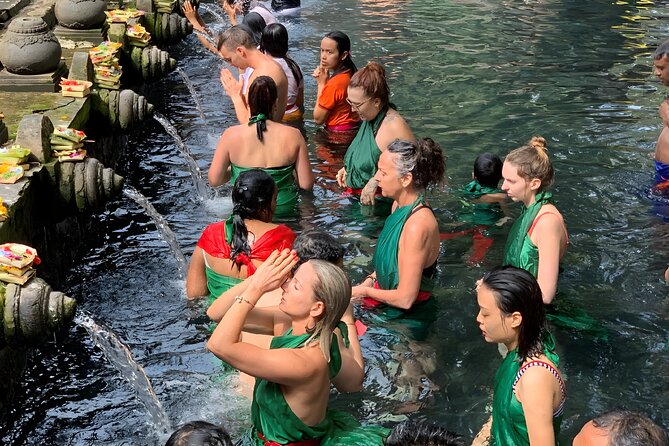 Ubud Waterfall, Kintamani Volcano and Tanah Lot Trip - Ubud Monkey Forest