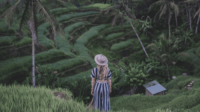 Ubud: Waterfall, Monkey Forest, and Rice Terrace - Key Points