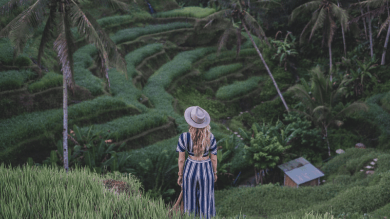 Ubud: Waterfall, Monkey Forest, and Rice Terrace - Itinerary Details