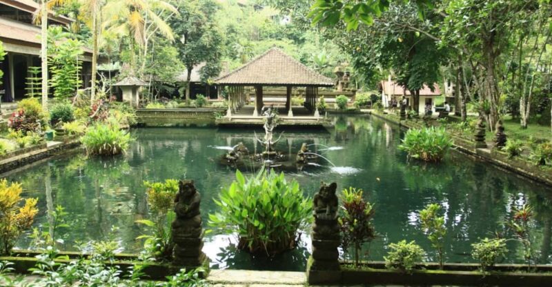 UBUD : Waterfall, Rice Terrace, Temple and Luwak Coffee Tour - Key Points