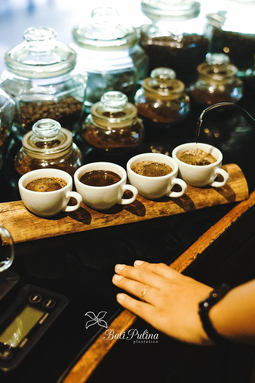 UBUD : Waterfall, Rice Terrace, Temple and Luwak Coffee Tour - Rice Terrace Experience