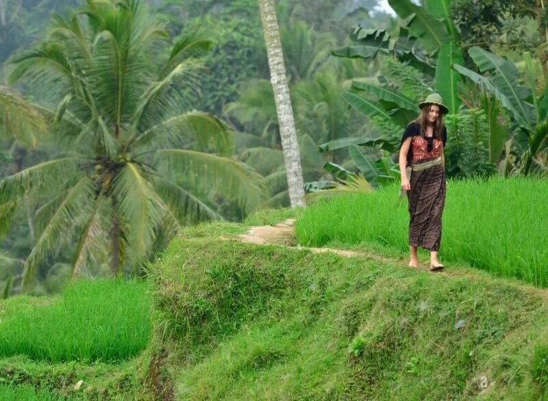 UBUD : Waterfall, Rice Terrace, Temple and Luwak Coffee Tour - Coffee Tasting Adventure