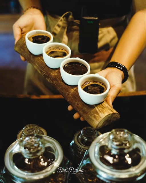 UBUD : Waterfall, Rice Terrace, Temple and Luwak Coffee Tour - Waterfall Exploration
