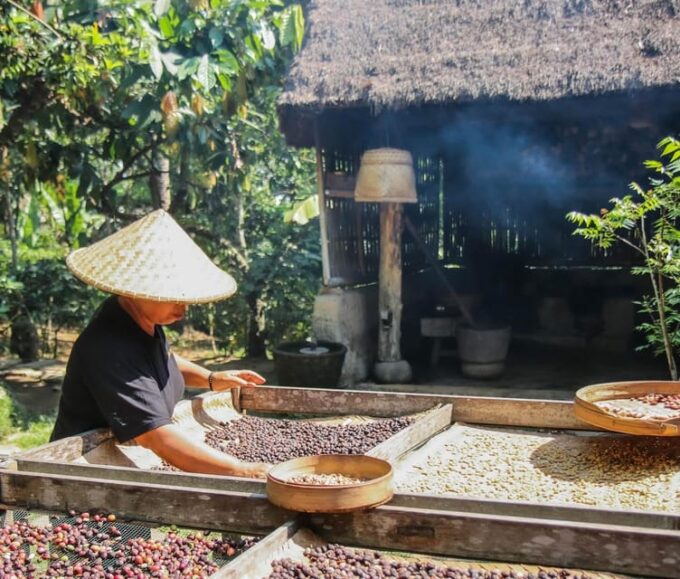 UBUD : Waterfall, Rice Terrace, Temple and Luwak Coffee Tour - Transportation Details