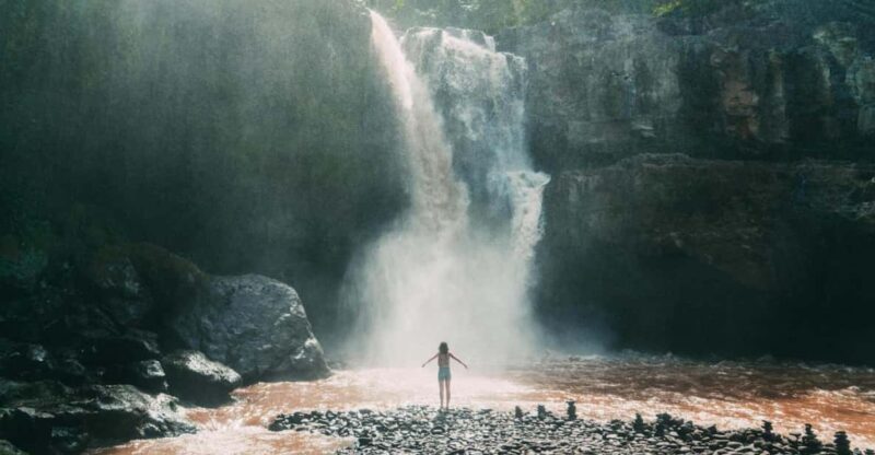 Ubud: Waterfall, Rice Terrace & Temple Private Day Tour - Itinerary and Activities