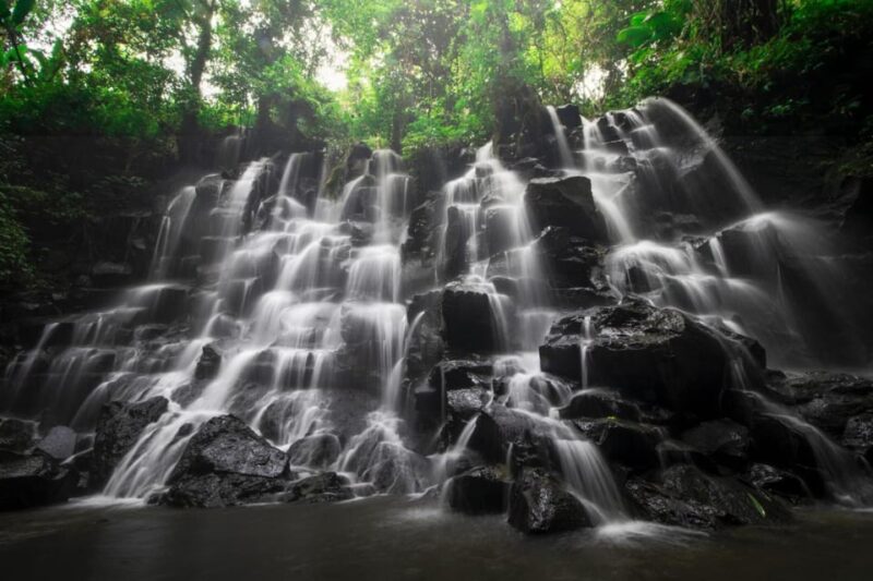 Ubud: Waterfall, Rice Terrace & Temple Private Day Tour - Customer Experience and Reviews