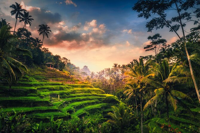 Ubud Waterfall, Rice Terraces, and Swing Explore - Tegenungan Waterfall