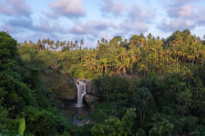 Ubud Waterfall, Rice Terraces, and Swing Explore - Pickup Information