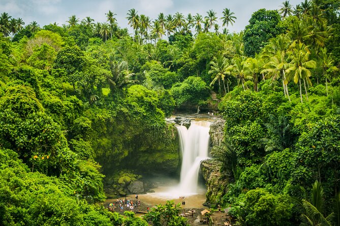 Ubud Waterfall, Rice Terraces, and Swing Explore - Reviews and Ratings