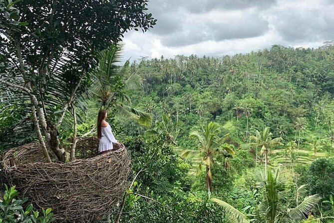 Ubud Waterfall, Rice Terraces, and Swing Explore - Pricing and Inclusions