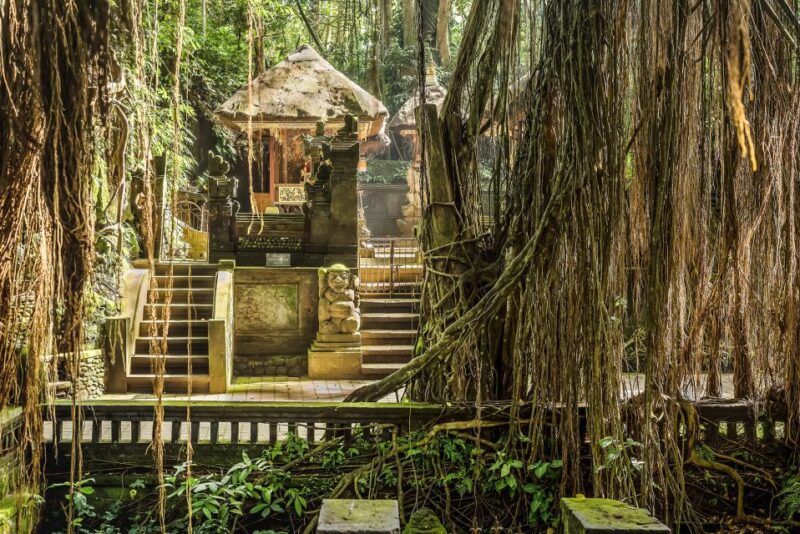 Ubud: Waterfall, Rice Terraces & Monkey Forest Private Tour - Itinerary Highlights