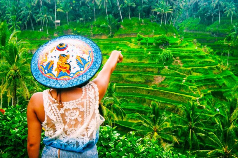 Ubud: Waterfall, Rice Terraces & Monkey Forest Private Tour - Tour Options