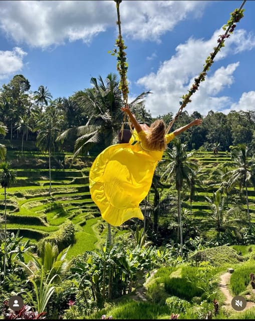 Ubud Waterfall, Tirta Empul Temple & Swing Activity - Inclusions and Logistics