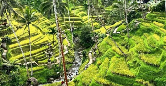 Ubud Waterfall, Tirta Empul Temple & Swing Activity - Activity Duration
