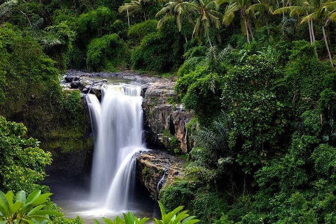 Ubud Waterfall Tour - Pickup and Drop-off