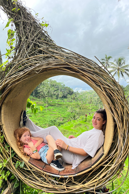 Ubud: Waterfalls, Monkey Forest, Rice Terrace, Private Tour - Key Points