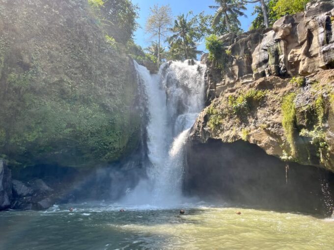 Ubud: Waterfalls, Monkey Forest, Rice Terrace, Private Tour - Sacred Monkey Forest Sanctuary