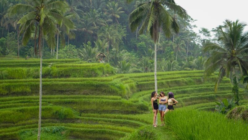 Ubud: Waterfalls, Rice Terrace and Swing With Photography - Inclusions and Amenities