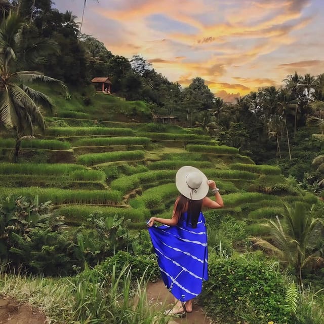 Ubud: Waterfalls, Rice Terrace & Monkey Forest - Tegallalang Rice Terrace