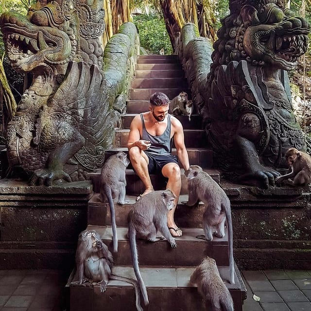 Ubud: Waterfalls, Rice Terrace & Monkey Forest - Luwak Coffee Tasting