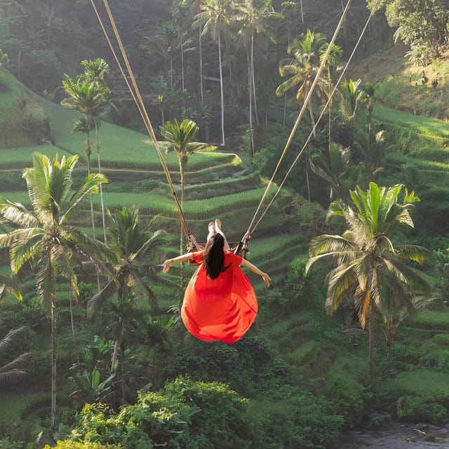 Ubud: Waterfalls, Rice Terrace & Monkey Forest - Inclusions