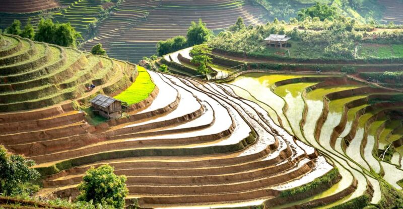 Ubud: Waterfalls, Rice Terrace & Monkey Forrest Private Tour - Itinerary Highlights
