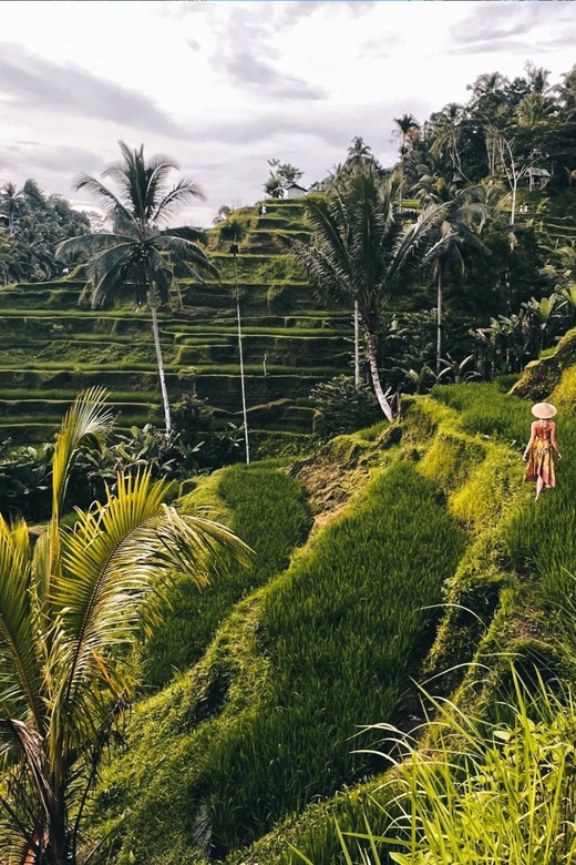 Ubud: Waterfalls, Rice Terrace, Temple & Swing -Private Tour - Key Points
