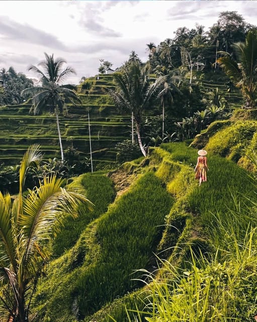 Ubud: Waterfalls, Rice Terrace, Temple & Swing -Private Tour - Tirta Empul Temple