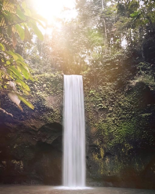 Ubud: Waterfalls, Rice Terrace, Temple & Swing -Private Tour - Frequently Asked Questions