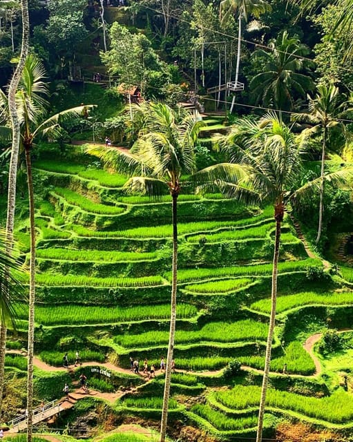 Ubud: Waterfalls, Water Temple & Bali Swing - Bali Swing