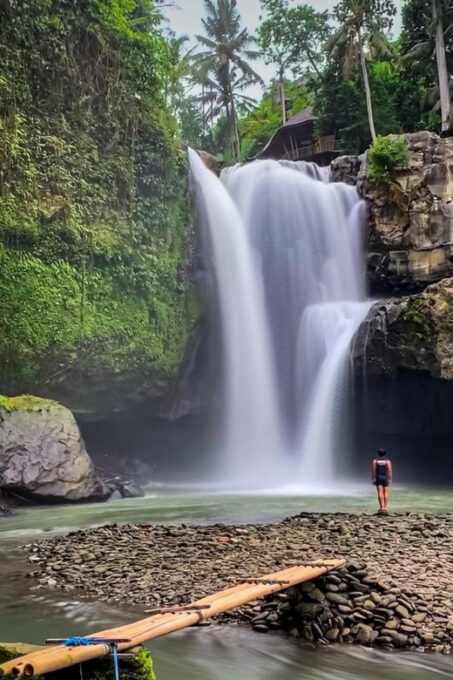 Ubud: Waterfalls, Water Temple & Bali Swing - Customer Experience