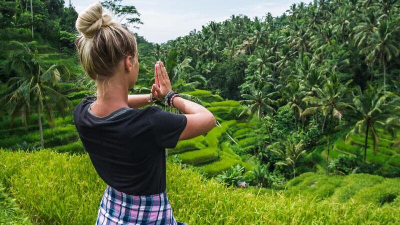 Ubud: Waterfalls, Water Temple, Rice Field and Monkey Forest - Key Points