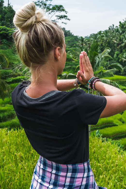Ubud: Waterfalls, Water Temple, Rice Field and Monkey Forest - Itinerary Highlights