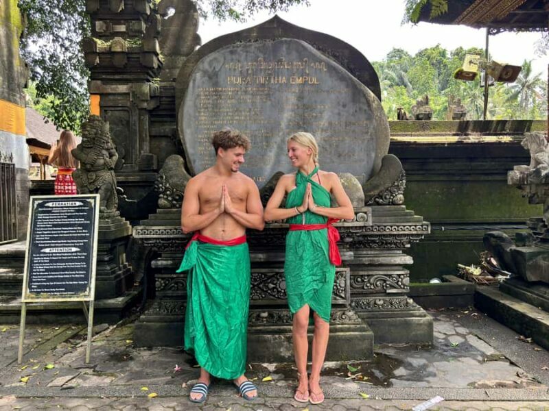 Ubud: Waterfalls, Water Temple & Rice Terraces Private Tour - An Overview of the Tour Experience