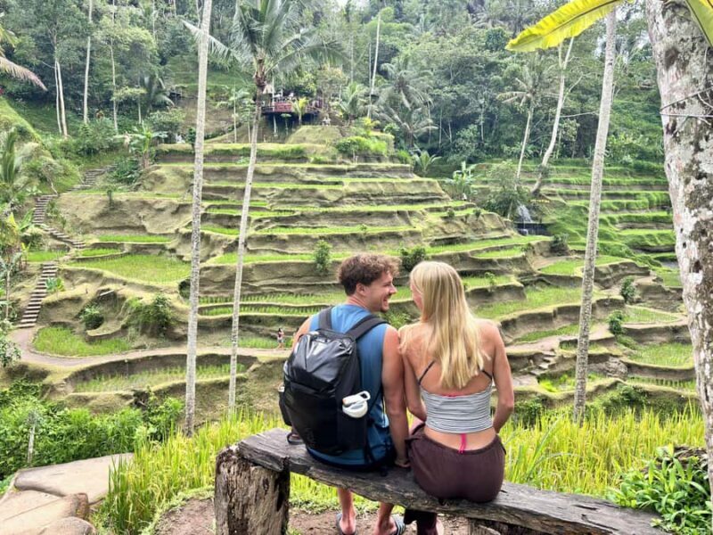 Ubud: Waterfalls, Water Temple & Rice Terraces Private Tour - The Highlights and Why They Matter