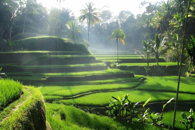 Ubud: Waterfalls, Water Temple & Rice Terraces Private Tour - Exploring the Itinerary in Detail