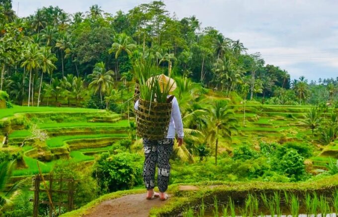 Ubud: Waterfalls, Water Temple & Rice Terraces Private Tour - Frequently Asked Questions