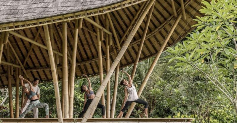 Ubud: Wellness Retreat With Massage, Yoga Class, and Lunch - Key Points