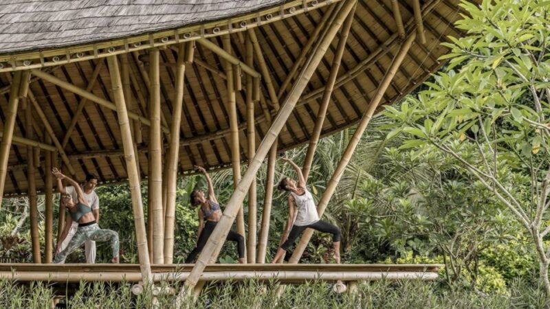 Ubud: Wellness Retreat With Massage, Yoga Class, and Lunch - Activities and Inclusions