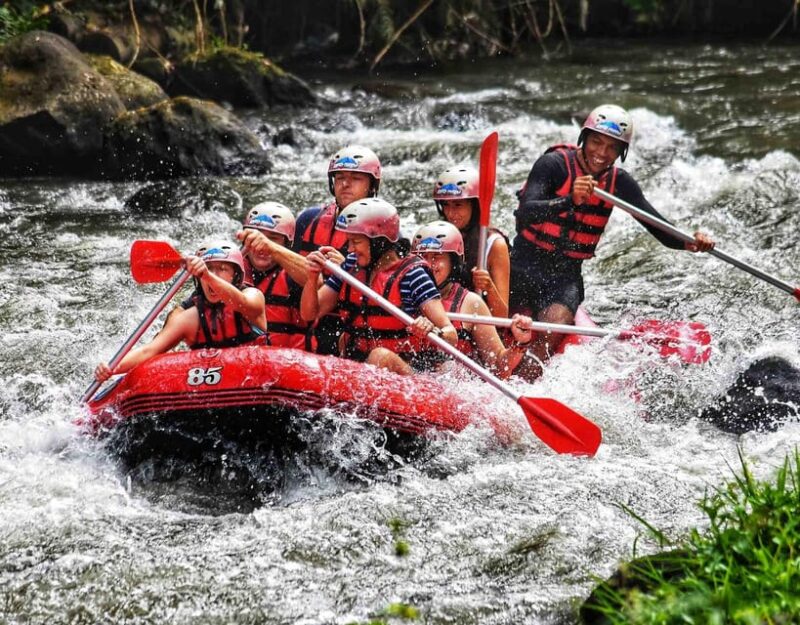 Ubud White Water Rafting With Lunch and Private Transfer - Key Points