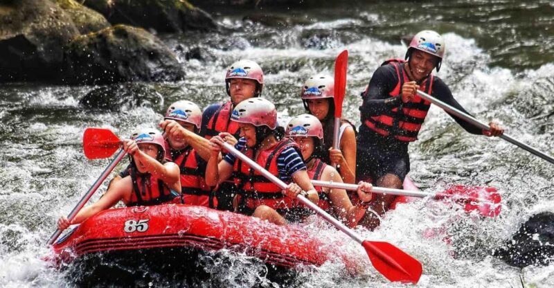 Ubud White Water Rafting With Lunch and Private Transfer - Rafting Adventure