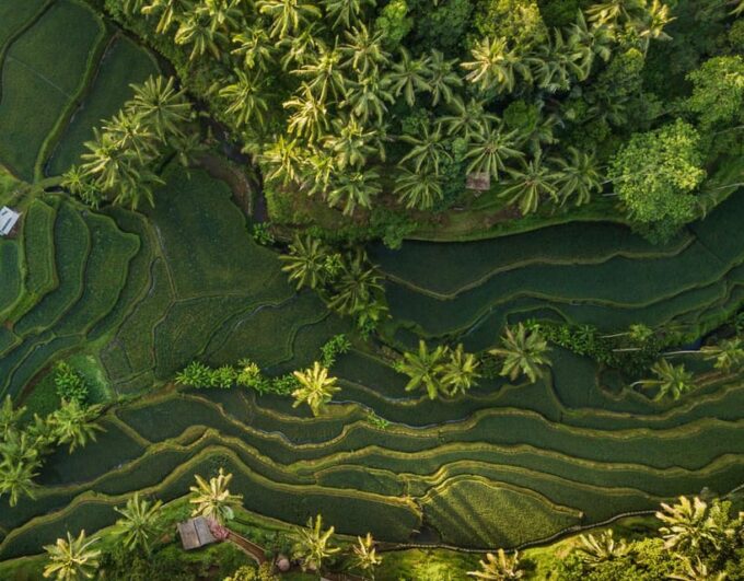 Ubud White Water Rafting With Lunch and Private Transfer - Important Considerations