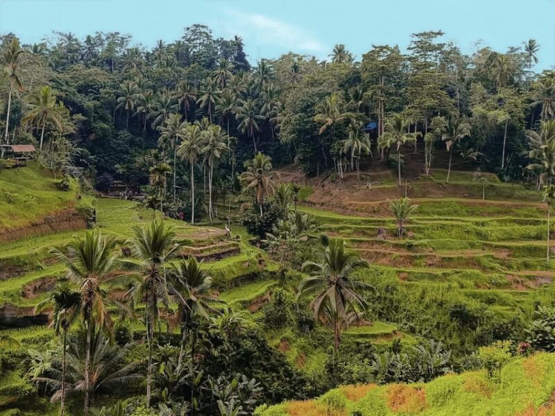 Ubud White Water Rafting With Lunch Included - Experience Highlights