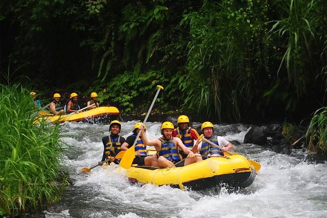 Ubud White Water Rafting With Private Transfer & Lunch - Included in the Package