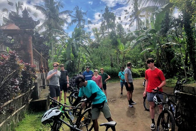 Ubud Wonderful Afternoon Downhill Cycling Tour - Positive Testimonials