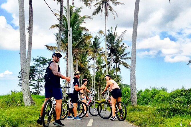 Ubud Wonderful Afternoon Downhill Cycling Tour - Tranquil Lunch Setting