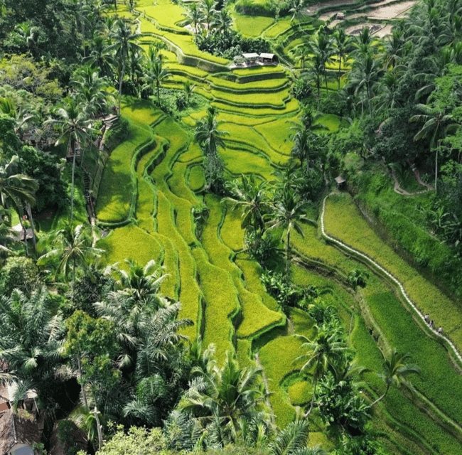 Ubud:Cultural Day Tour With Traditional Balinese House Visit - Refreshing Activities