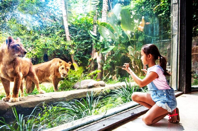 Ubud:Intro to Bali Zoo With Waterfall, Authentic Lunch - Lunch Experience